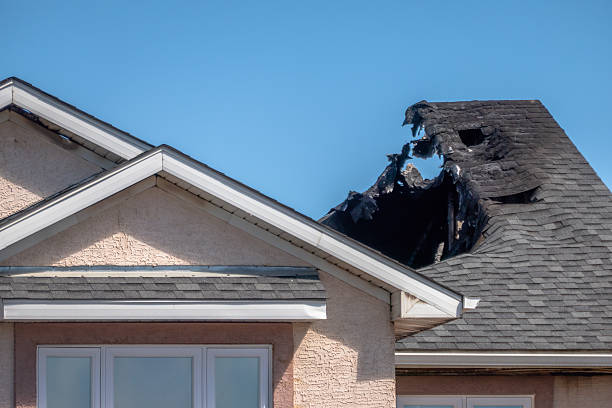 Top rated local Odor Removal specialists in Doylestown, OH